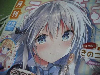 Amazon Co Jp 月刊うりぼうざっか店7月号kino きのこのみ イラスト みけおう あめとゆき Mignon 白もち桜 幟瑛 ほし 三つ葉ちょこ メロンブックス ホビー 通販