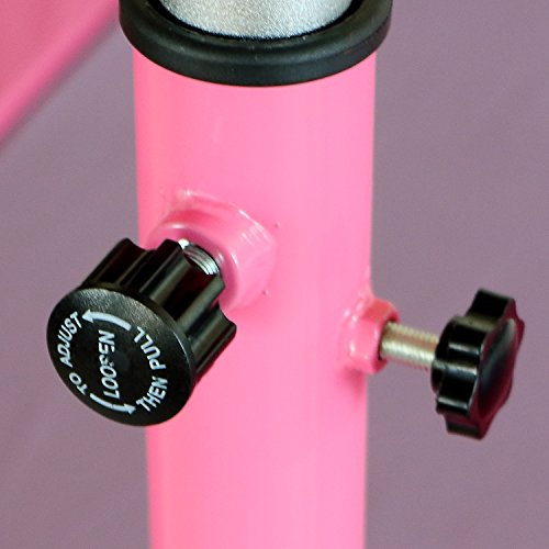 Bestmart INC Pink Adjustable (3'-5') Gymnastics Bar and 10ft Folding Mat Combo Gym Set