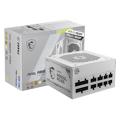 Native 850W Gold ATX 3.1 Power Supply