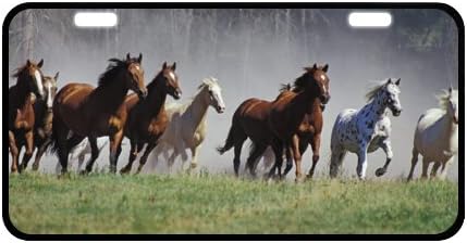 Running Horse Novelty License Plate Decorative Front Plate 6.1" X 11.8"