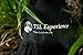 Outdoor Tree Swing Hanging Straps Sale- Holds Over 2,200 pounds Free Protection Straps Increases Safety & Versatility- Easy Install Hammock, Baby/Kid Swing & More Trees Sunshine Life Experience