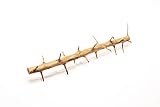 SubstrateSource Natural Aquarium Driftwood for Fish