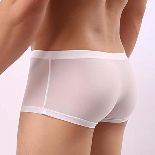 Men Transparent Underwear Boxer ,Vanvler Sexy Male Briefs Shorts Bulge Pouch Underpants (White, M)