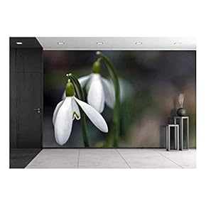 Closeup of White Snowdrops Taken from The Side - Removable Wall Mural | Self-Adhesive Large Wallpaper - 66x96 inches