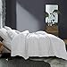 INGALIK All-Season Bed Comforter Best Soft Down Alternative Quilted Comforter - Winter Warm - Machine Washable (White, King 90 x 102 inches)