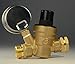 RV Rhodes Water Pressure Regulator Valve, Brass Lead-Free Adjustable Water Pressure Reducer with Gauge for RV Camper, Includes Inlet Screened Filter