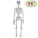 Halloween Decoration Pose-N-Stay Full Body Skeleton Plastic Bones 36