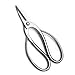 Root Pruning Scissors Leaves Shear Branch Scissors Tian Bonsai Tools 190 Mm (7.5″) 500t Forge!thumb 4