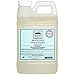 The Good Home Beach Days Laundry Detergent Refill, 64 Ounce primary
