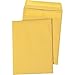 Quality Park Redi-Seal 9 x 12 Inch Kraft Catalog Envelopes 250 Count (43562), Light Brown
