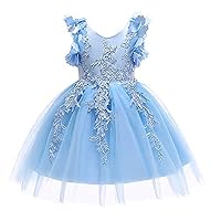 Weileenice 1-12T Big/Little Girl Flower Lace Christmas Dresses Birthday Tulle Dress for Communion Party Wedding (8-9Years, Blue)