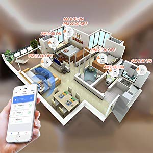 WiFi Smart Wall Outlet, Top & Bottom Outlets are Independently Controllable, Duplex Receptacle Socket, Compatible with Alexa Dot Echo Plus Google Assistant IFTTT, No Hub Required