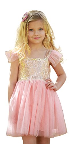 Birthday Dress for Little Girls Princess Ballerina Party, Pink, 6Y