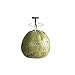 S STORD Coconut Opener for Fresh Green Young Coconut Water - Works With Peeled Thai Young White Coconuts - Open in Seconds Super Safe Easy and Fast