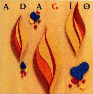 Amazon 優しいクラシック 心にしみる アダージョ オムニバス クラシック アルビノーニ イ ソリスティ ベネティ リスボン グルベンキアン財団室内管弦楽団 パイヤール室内管弦楽団 モンテ カルロ フィルハーモニー管弦楽団 モンテ カルロ国立歌劇場