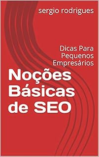 Livro Noções Básicas de SEO : Dicas Para Pequenos Empresários (Introdução)