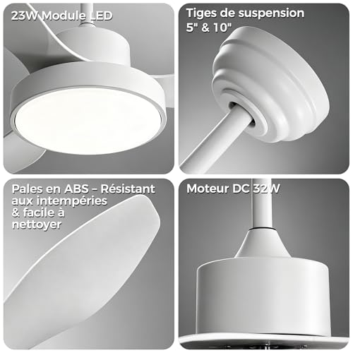 OZEANOS Ceiling Fan with Dimmable LED Light, Silent Ceiling Fan with Remote Control, 6 Speed, DC Motor, 3 Temperatures, Summer/Winter Function for Living Room and Bedroom (120cm)
