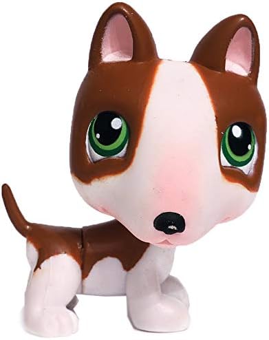 senior cat stopped eating