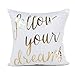 4TH Emotion Gold Follow Your Dreams Inspirational Quotes Throw Pillow Case Cushion Cover Cotton Polyester 18x18 Inches for Sofa Couch primary