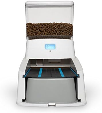 solid canine training