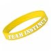 CG Costume Pokemon Go Bracelet Team Instinct Mystic Valor 3 Color Yellow