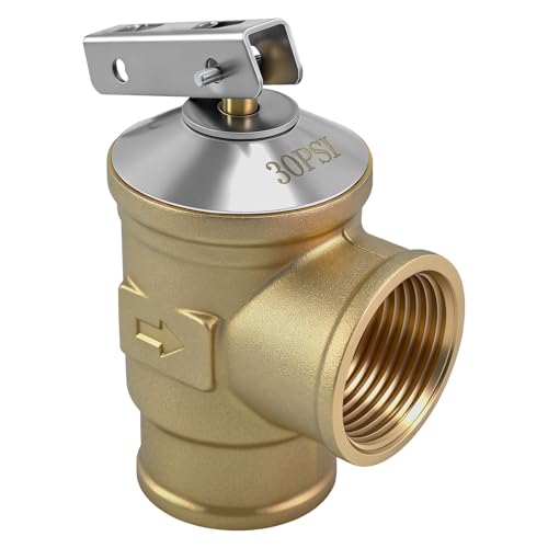 dyseer 30 PSI Pressure Relief Valve