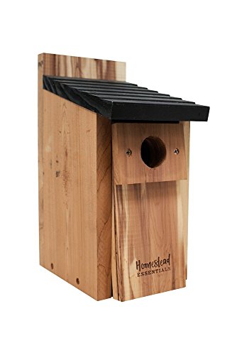 Homestead Essentials Cedar Bluebird House - Thumbnail 7
