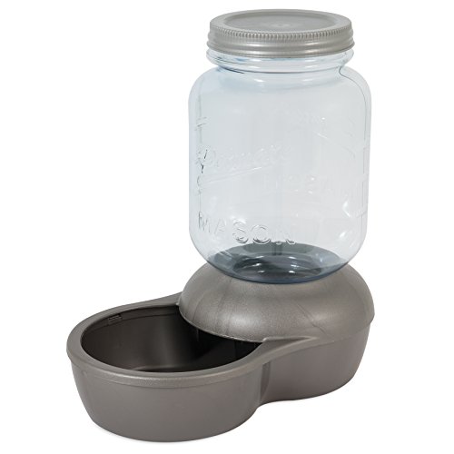 Petmate Replendish Waterer Mason Silver, 1 gallon