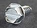 License Plate Screws - #14 x 3/4