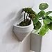 Set of 3 Large White Wall Planters Ceramic Hanging Planters Geometric Wall Decor Container – Great Succulent Plants, Air Plant, Faux Plantsthumb 3