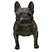 Comfy Hour Doggyland Collection, Miniature Dog Collectibles 6” Standing French Bulldog Figurine, Realistic Lifelike Animal Statue Home Decoration, Brindle, Polyresin