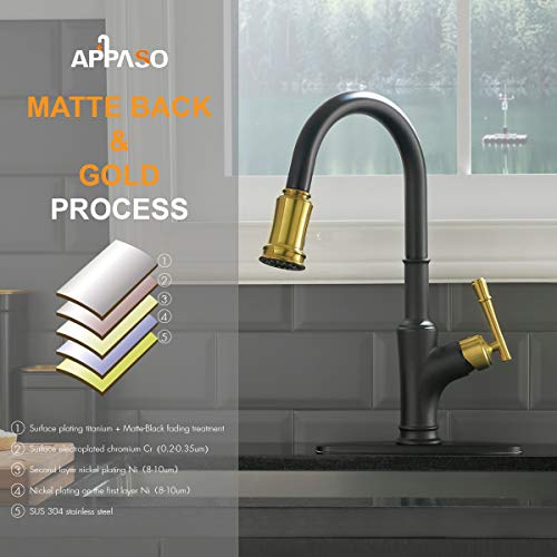 APPASO Black and Gold Kitchen Faucet with Pull Down Sprayer Black