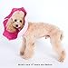 Alfie Pet by Petoga Couture - Noah Recovery Collar (for Dogs and Cats) - Pattern: Pink Pom Pom, Size: Small