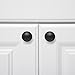 Amazon Basics Straight Top Ring Cabinet Knob, 1.25-inch Diameter, Flat Black, 10-Pack