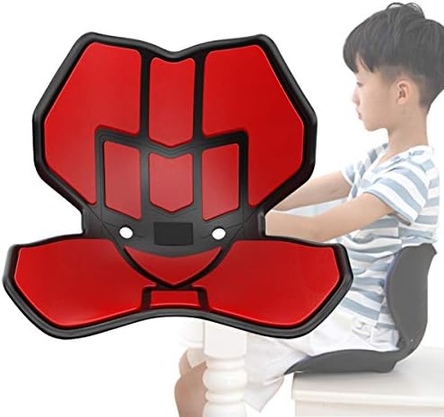 Bebomne 骨盤サポートチェア 最新版 腰バック 骨盤矯正 チェア 骨盤サポートシート ボディメイクシート スタイル 腰痛クッション 骨盤 姿勢矯正 腰痛 椅子 バランスボード オフィス 猫背矯正 バック チェア シートクッション 車用 自宅用 腰の負担減少に 座り心地抜群