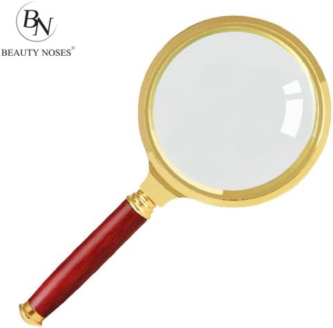 BestNew Handheld 10X Magnifier Magnifying Glass Loupe Reading Jewelry 90mm - BeautyNoses2017