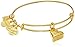 Alex and Ani (PRODUCT)RED Heart of Strength Charm Bangle Shiny Gold