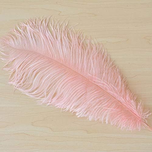 Blush Pink Ostrich Feathers Dyed Feather 15.7-17.7 inches Feathery Craft for Home Wedding Event D¨¦cor Pack of 5