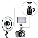 Konsait Mini Ball Head with Lock and Hot Shoe Adapter Camera Cradle 1/4