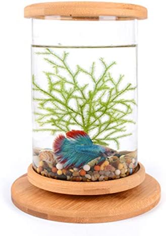 LSHUAIDJ Fish tank betta fish aquarium fish home desktop ecological bottle creative office tempered glass micro-cylinder rotating bedroom fish tank betta mini small fish tank