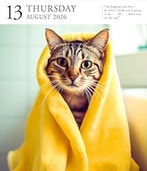 Cat Page-A-Day® Gallery Calendar 2026: A
