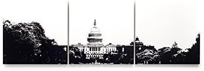Washington DC Triptych Wall Art (3 x 1 foot) Various Color Options