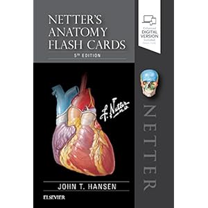 Netter’s Anatomy Flash Cards