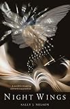 Night Wings: A Soulful Dreaming and Writing Practice by 