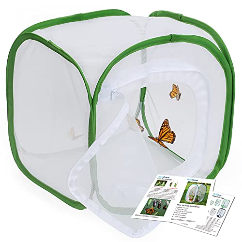RESTCLOUD Compact Butterfly Habitat