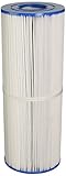 Unicel C-4950 Replacement Filter Cartridge for 50 Square Foot Rainbow, Waterway Plastics, Custom Molded Products
