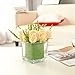 MyGift Artificial Ivory Roses in Square Glass Vase, Faux Flower Arrangements