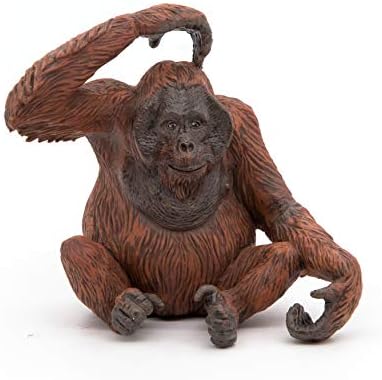 papo orangutan
