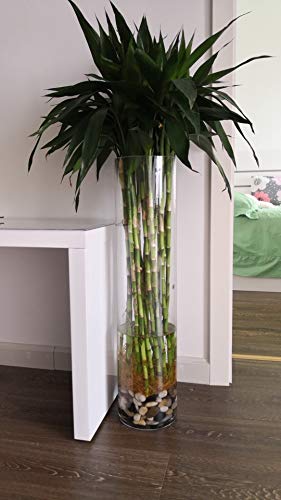 6 OUPENG+Aquarium+Gravel+River+Rock