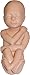 Touch of Life Baby Eve 20 week Fetal Model, Caucasian